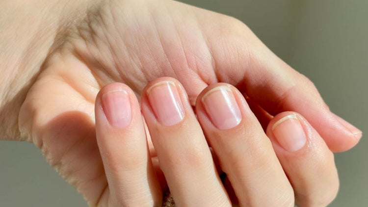 Nail Polishes - Base Coat/Top Coat/Topper