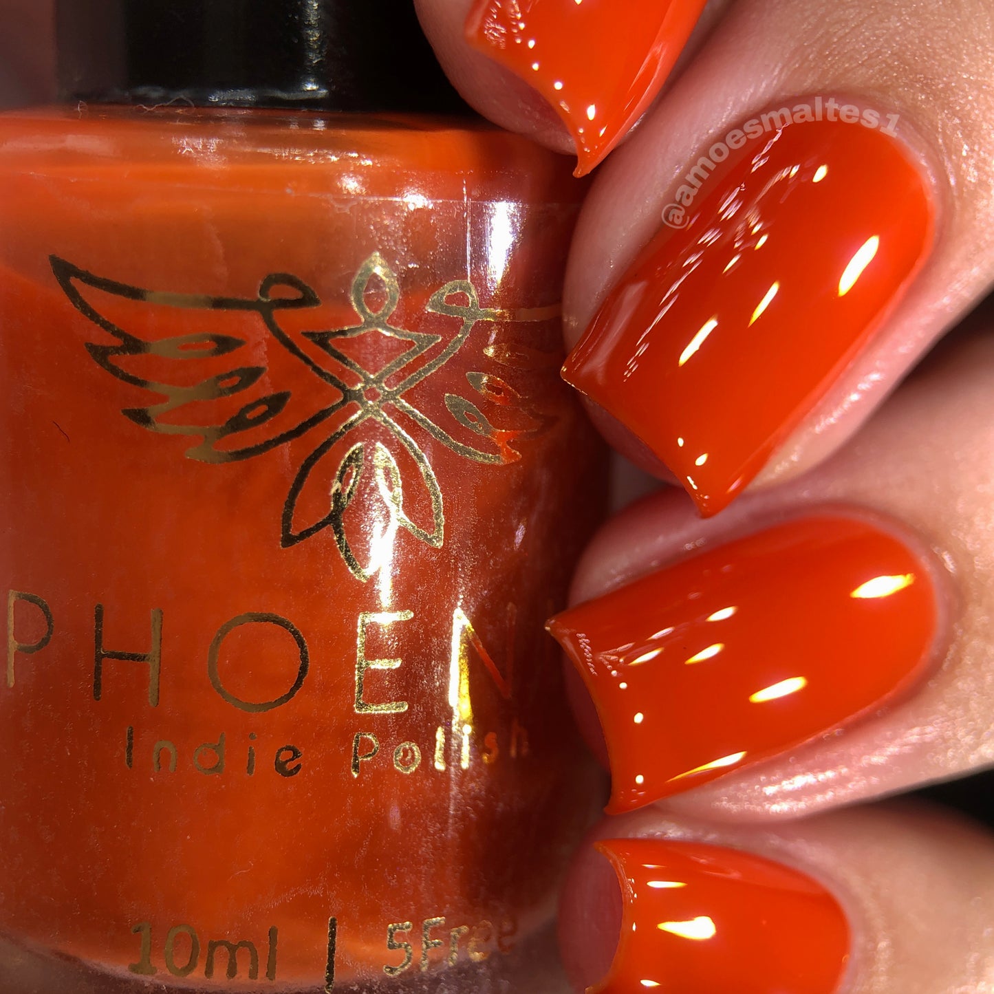 Phoenix Polish - Jaehaerys I Love My Polish