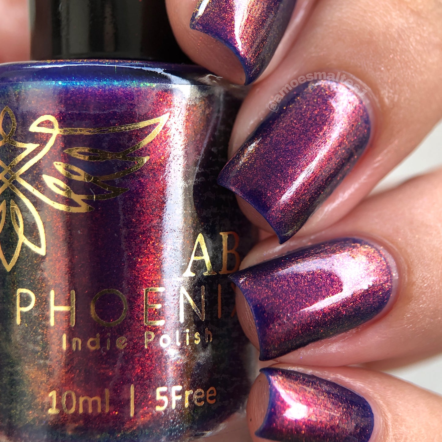 Phoenix Polish - Elijah I Love My Polish