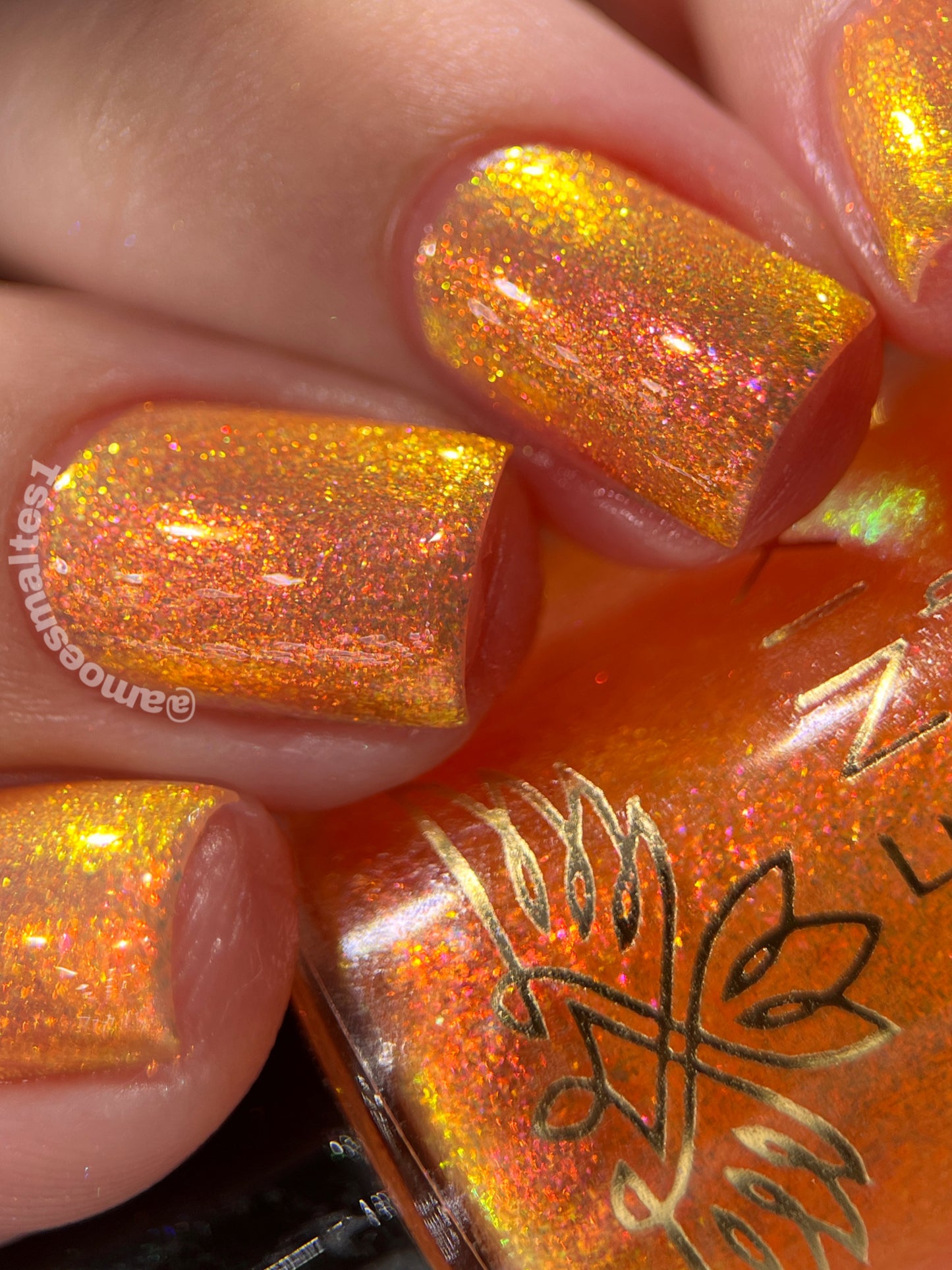 Phoenix Polish - Logon (Iridescent) I Love My Polish