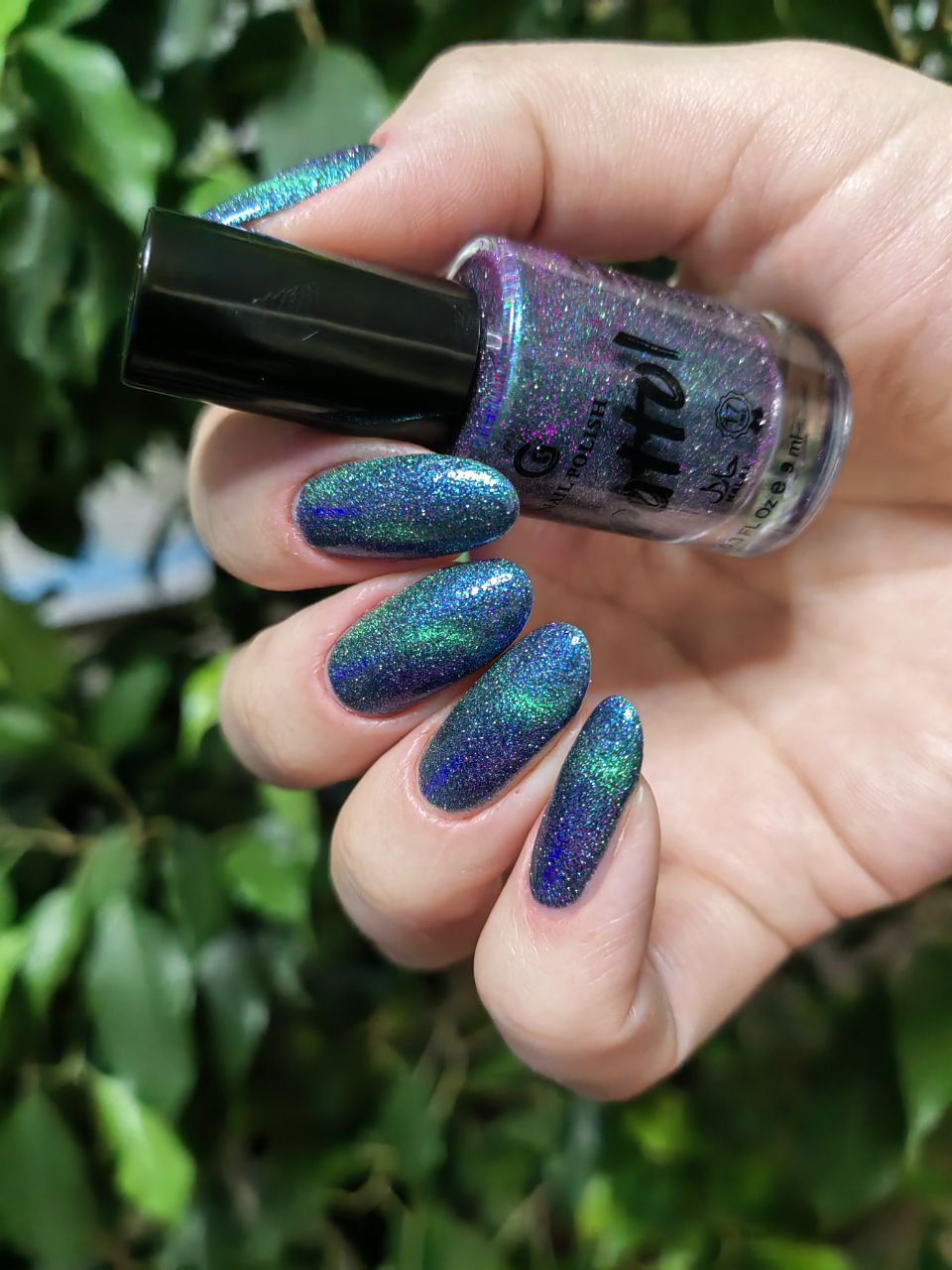 Grattol- Northern Show I Love My Polish