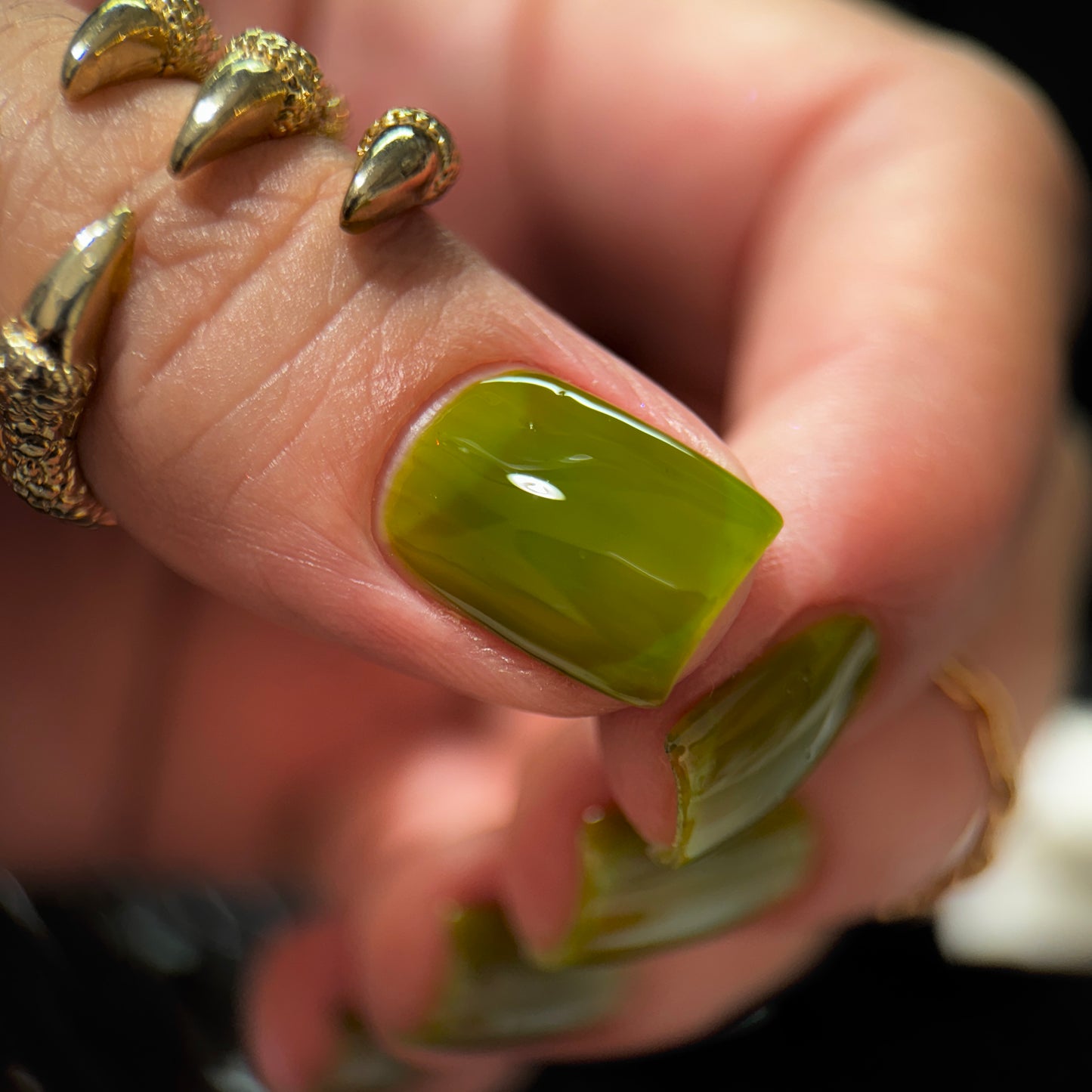 Phoenix Polish - Jacaerys I Love My Polish