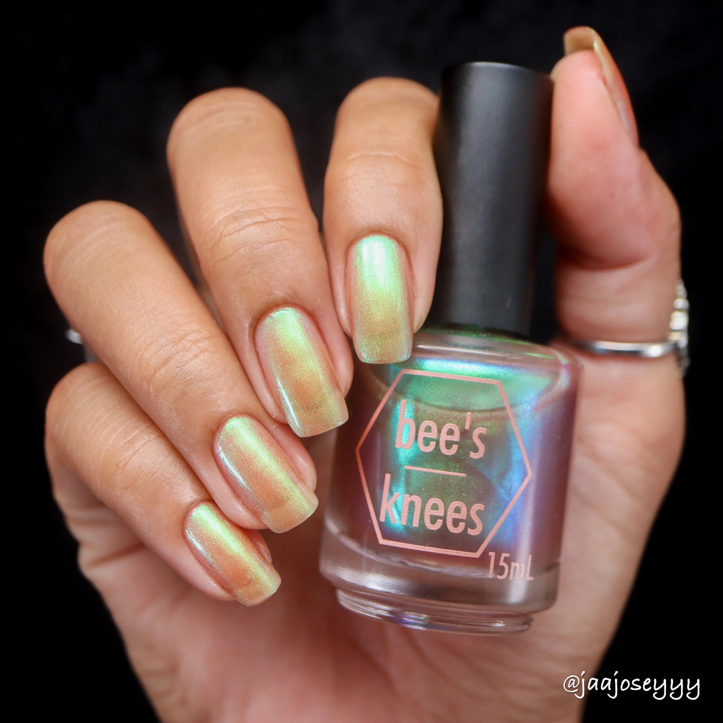 Bees Knees Lacquer- Love Reading I Love My Polish