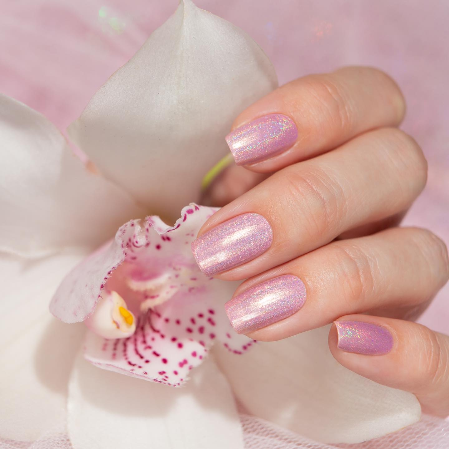 Bow Nail Polish - Take Me There (Holographic) I Love My Polish