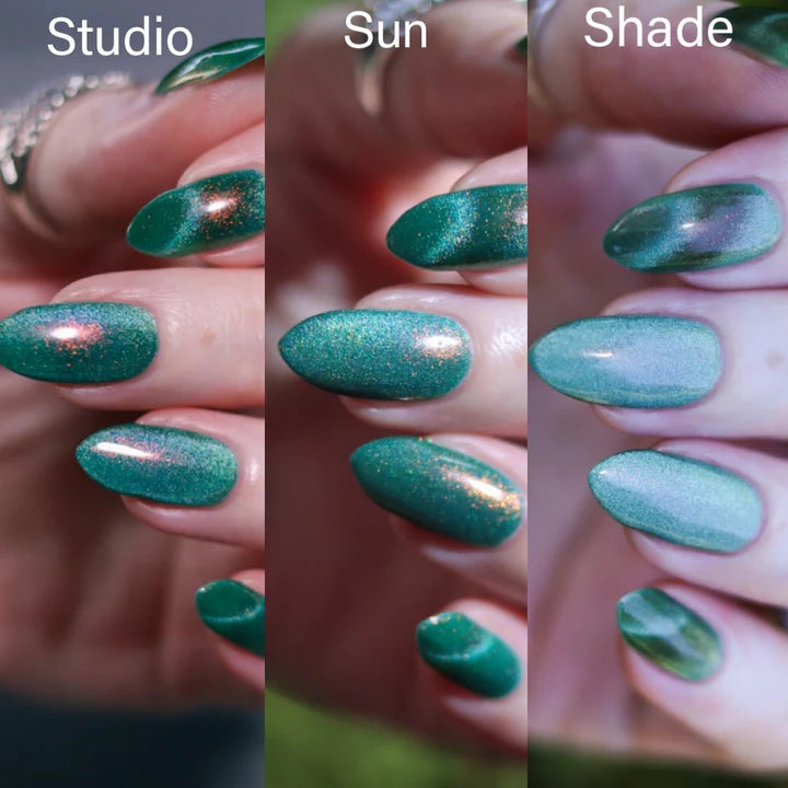 Arcana- My Life as a Shrimp I Love My Polish