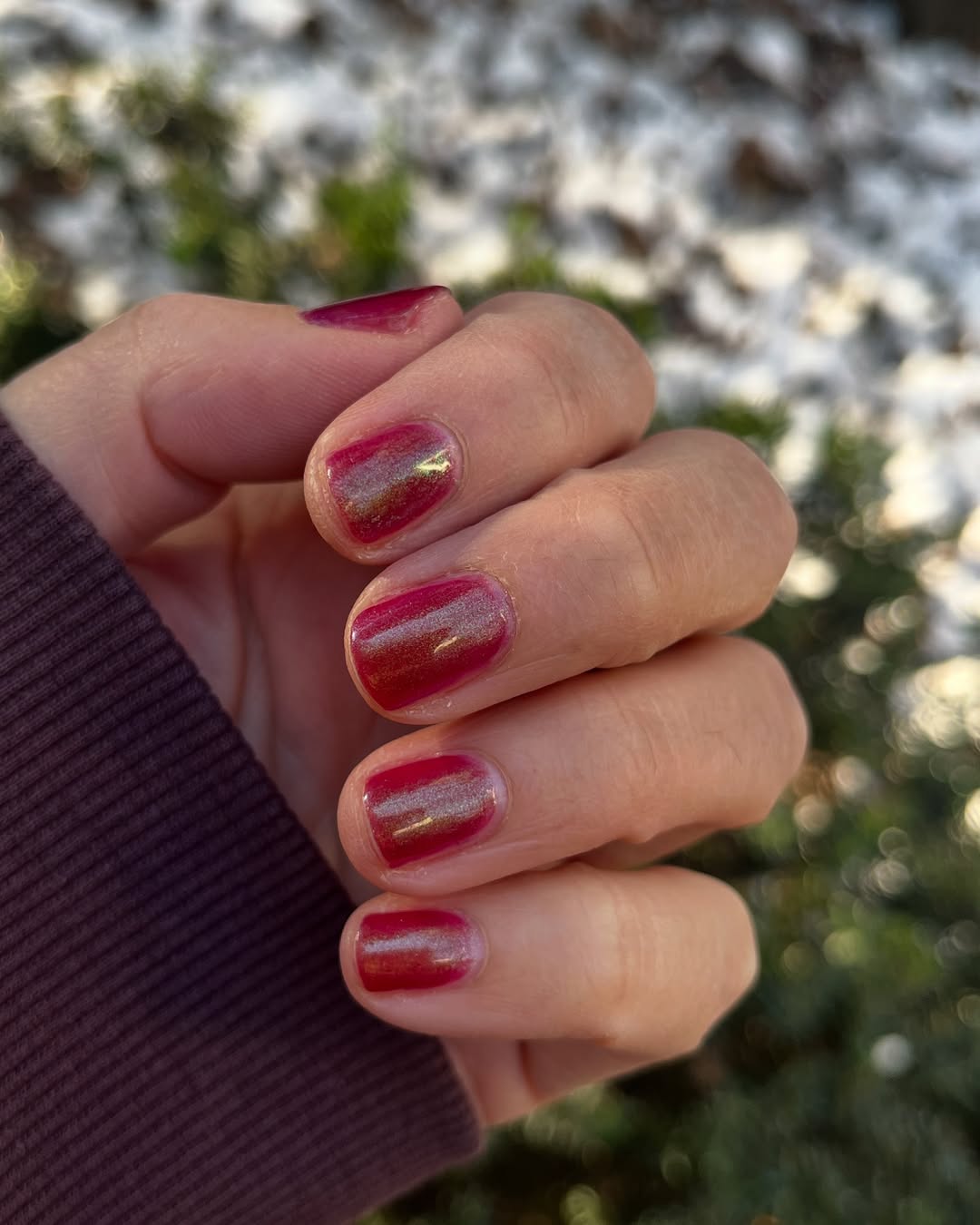 Bees Knees Lacquer- Astarions juice box Red Pink Iridescent Nail Poish