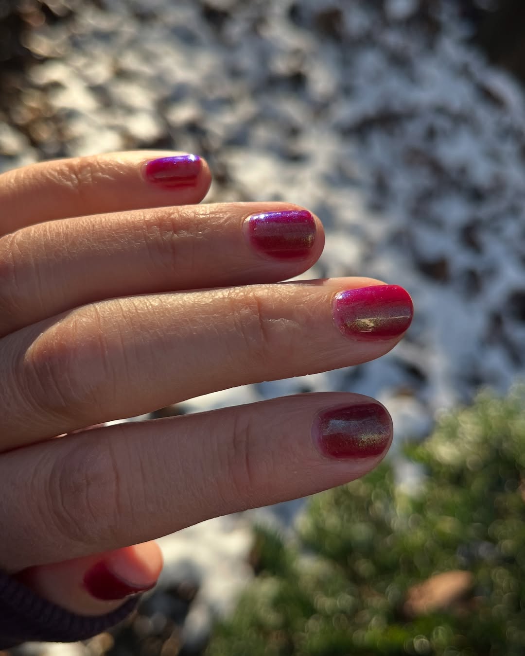 Bees Knees Lacquer- Astarions juice box Red Pink Iridescent Nail Poish