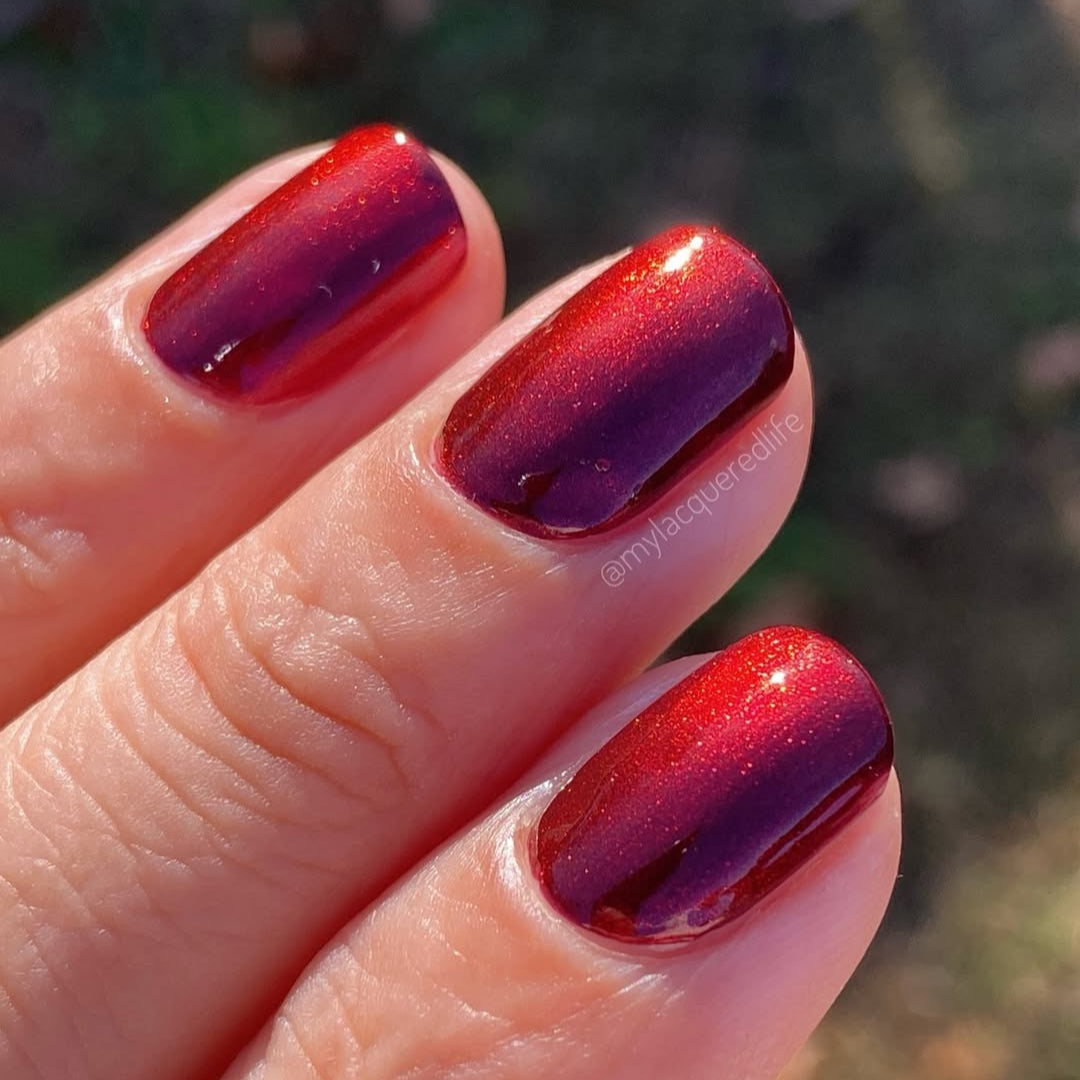 KBShimmer- Mull It Over