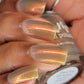 Dam- They See BB Rollin’ I Love My Polish