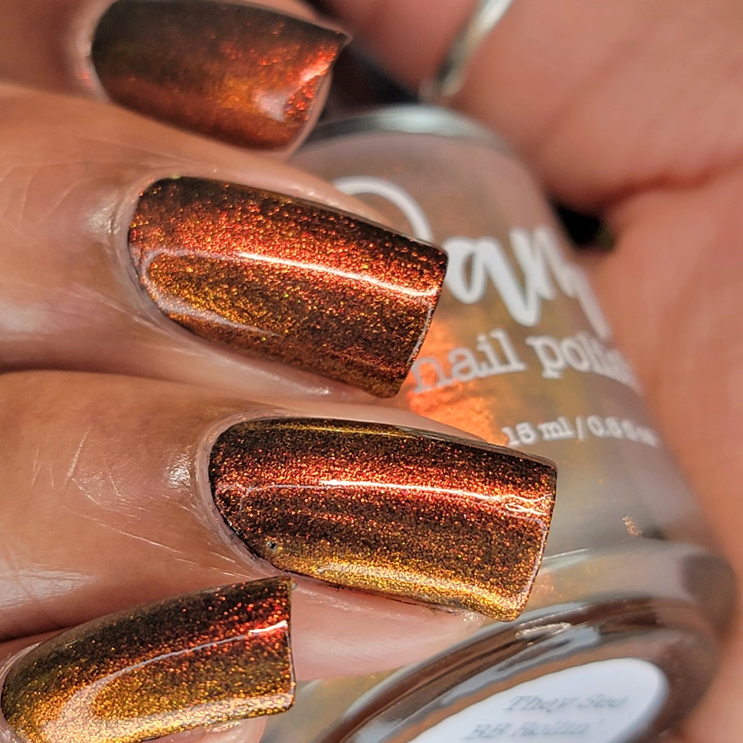 Dam- They See BB Rollin’ I Love My Polish