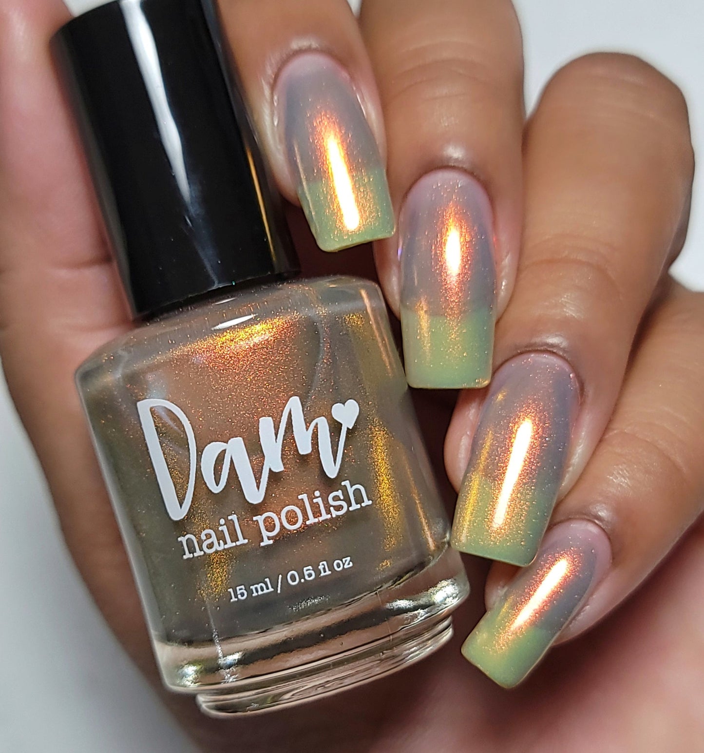 Dam- They See BB Rollin’ I Love My Polish