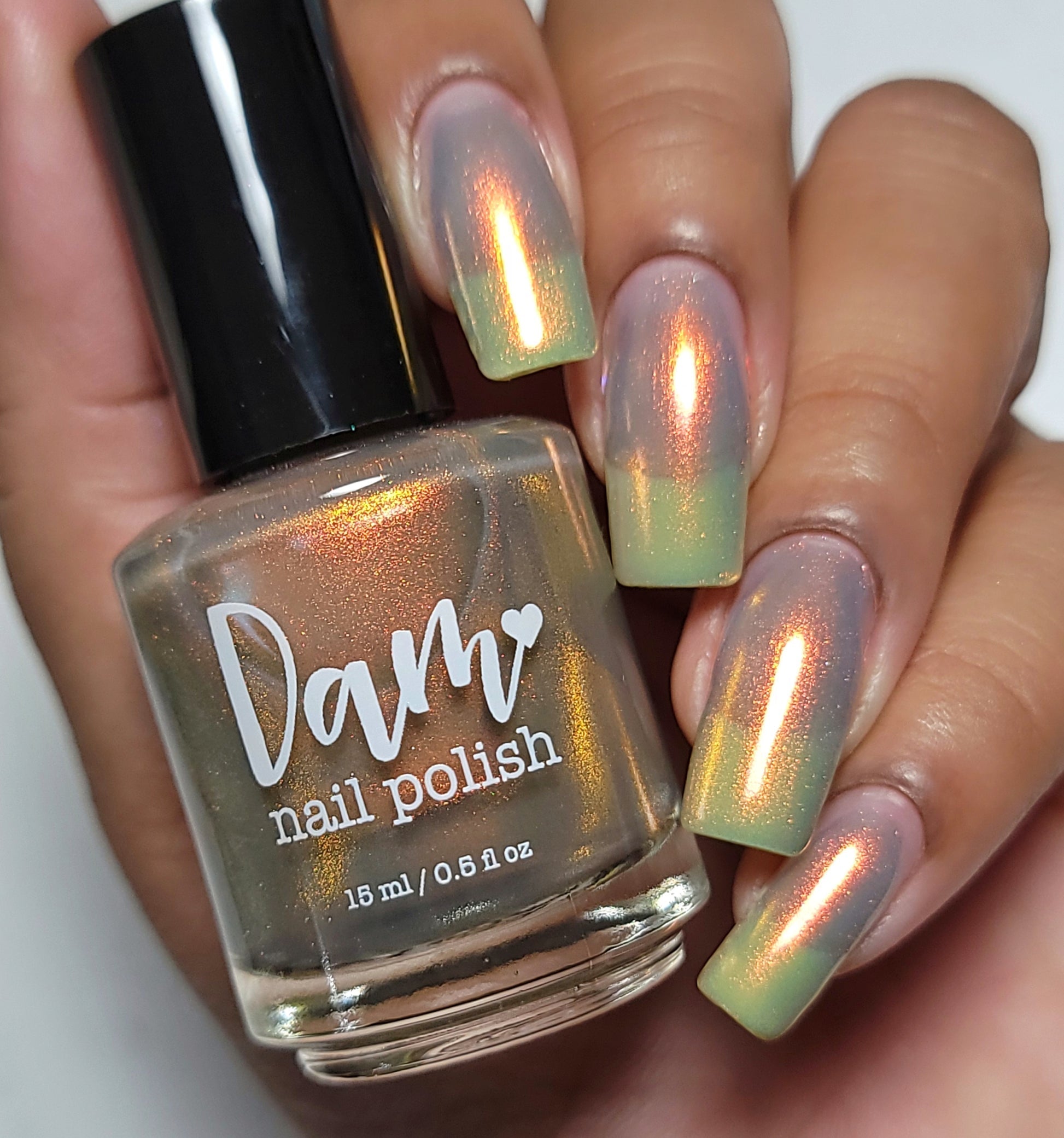 Dam- They See BB Rollin’ I Love My Polish