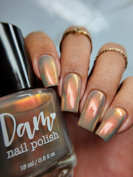 Dam- They See BB Rollin’ I Love My Polish