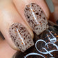 Fancy Gloss- Brown Shards Brown Copper Nail Polish I Love My Polish