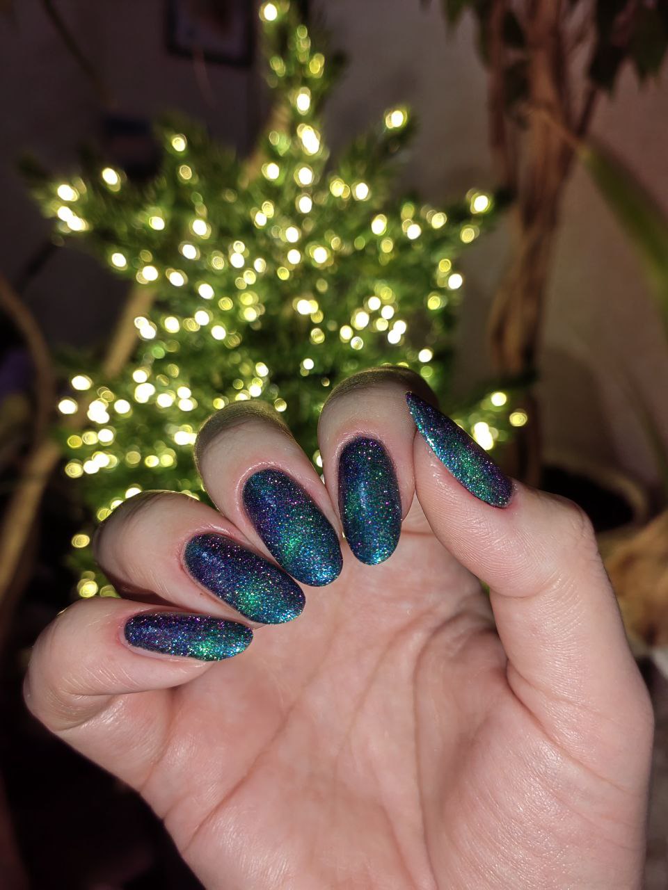 Grattol- Northern Show I Love My Polish