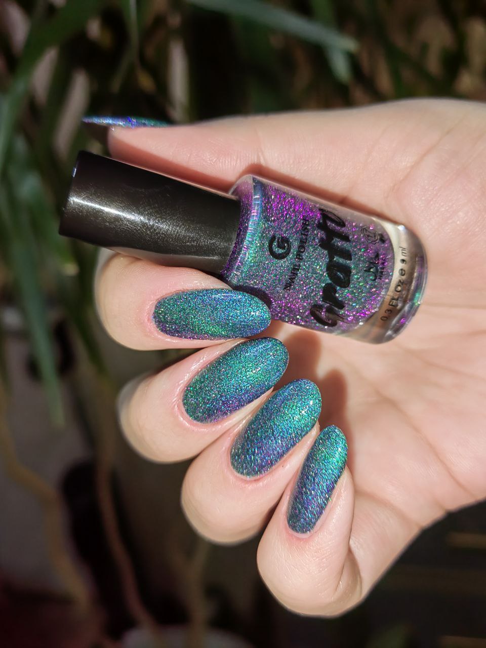 Grattol- Northern Show I Love My Polish