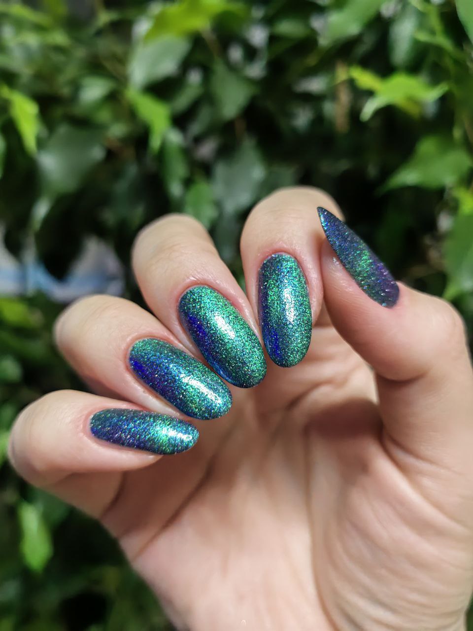 Grattol- Northern Show I Love My Polish