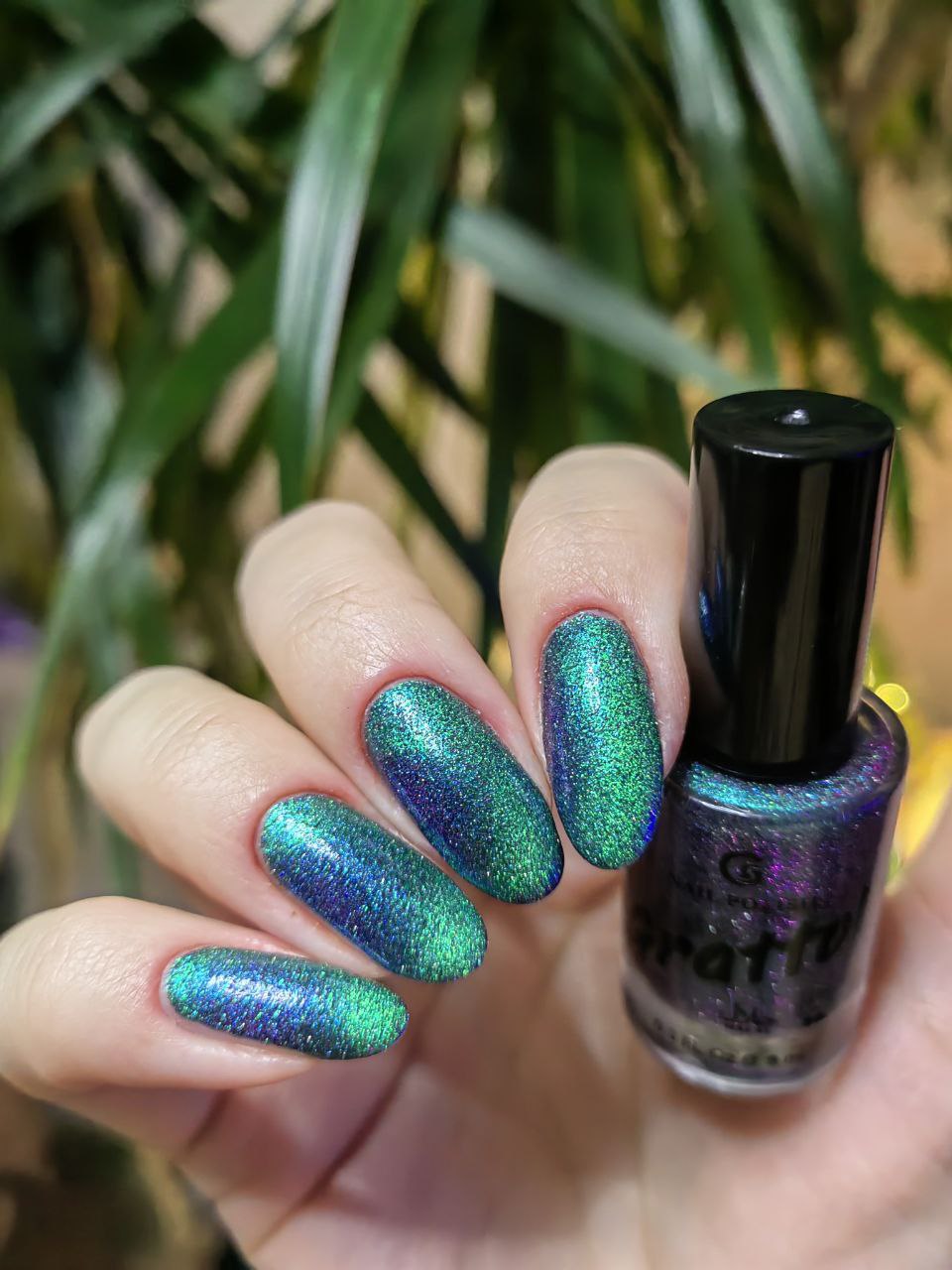 Grattol- Northern Show I Love My Polish