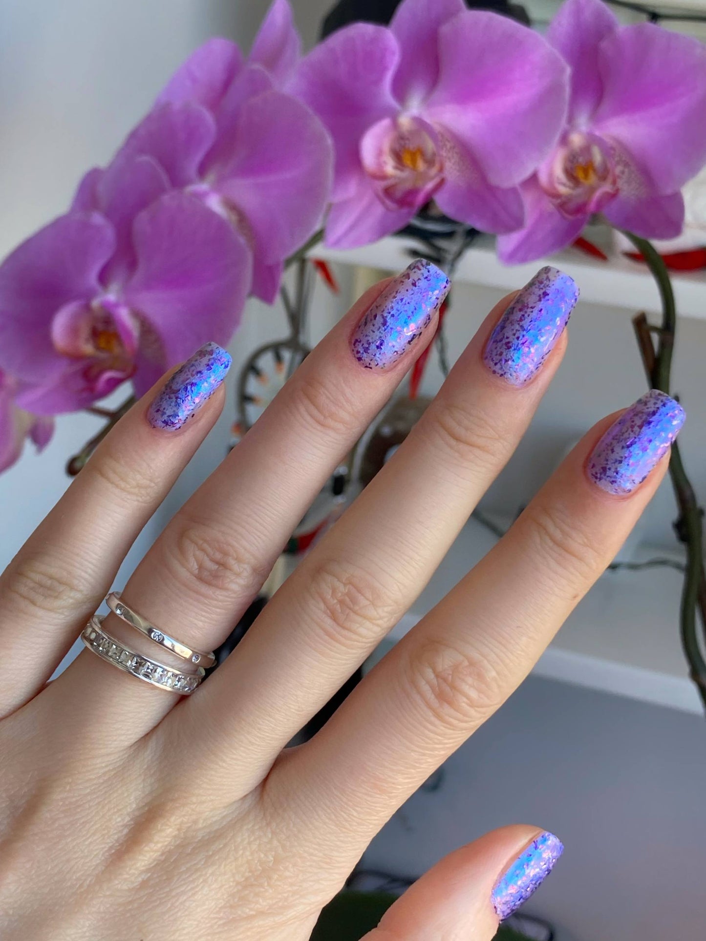Grattol- Croc'n'Roll I Love My Polish