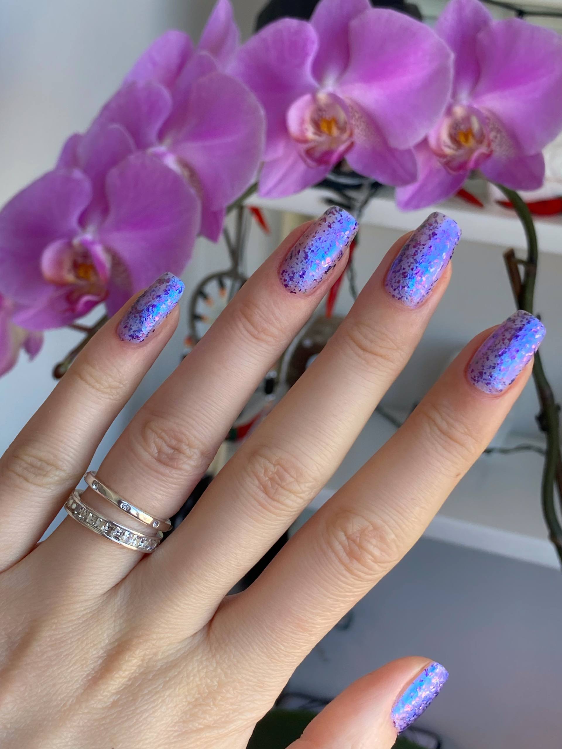 Grattol- Croc'n'Roll I Love My Polish