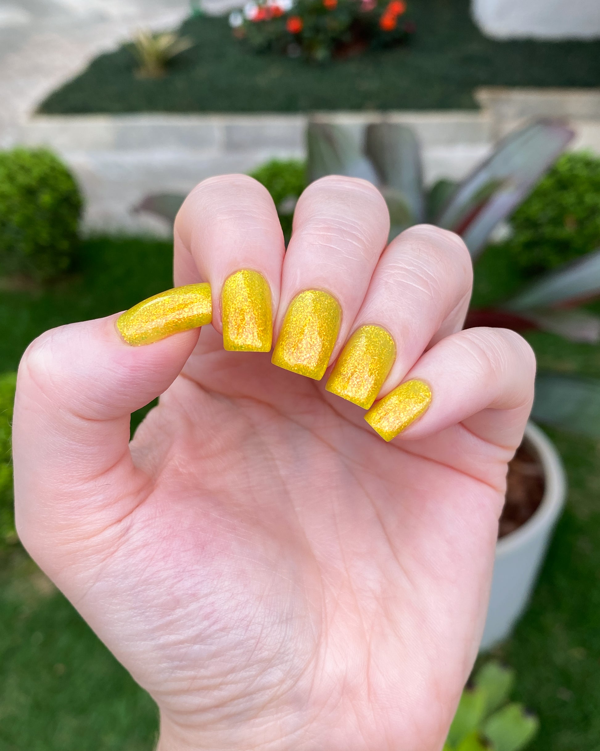 Phoenix Polish - Alice I Love My Polish