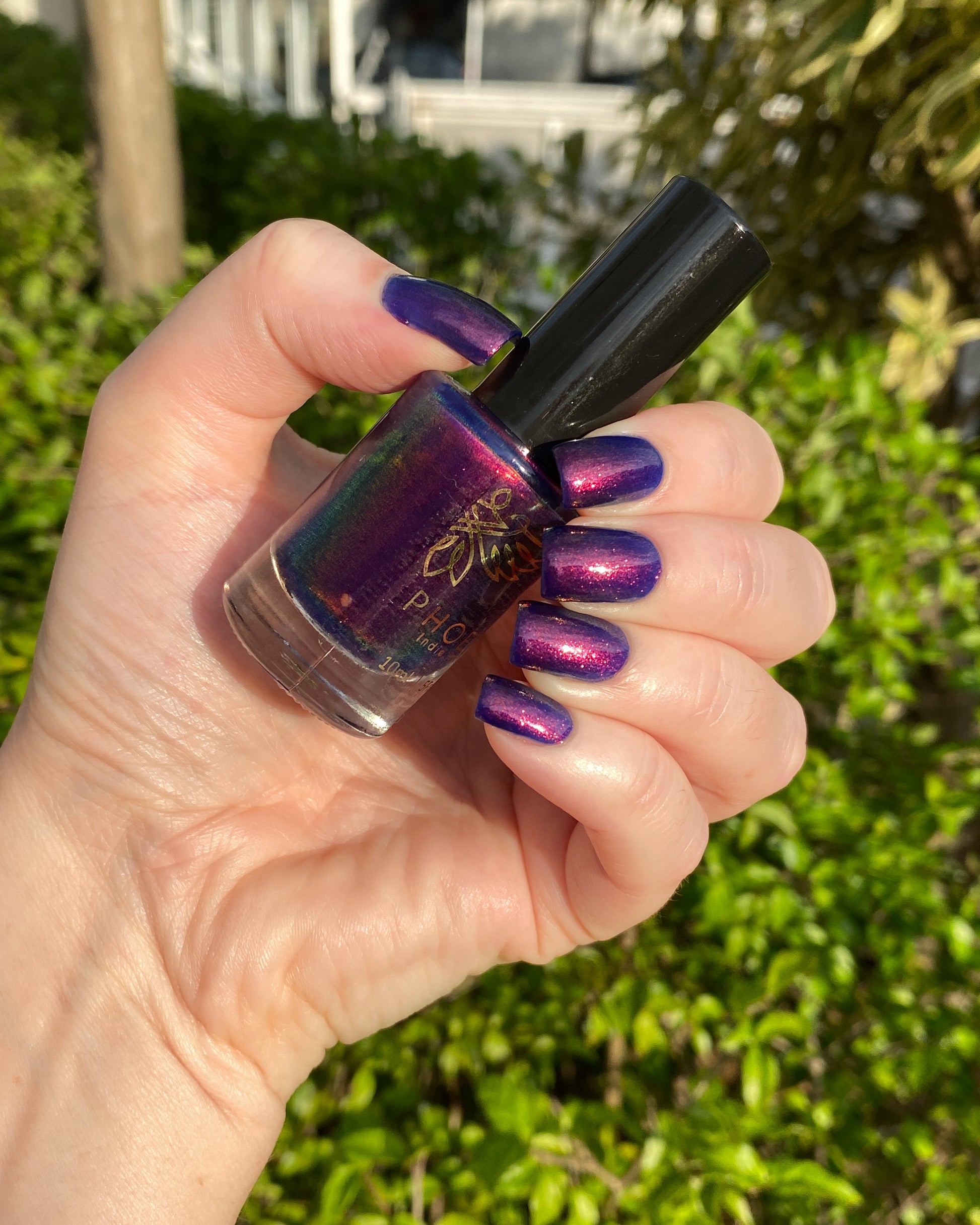Phoenix Polish - Elijah I Love My Polish