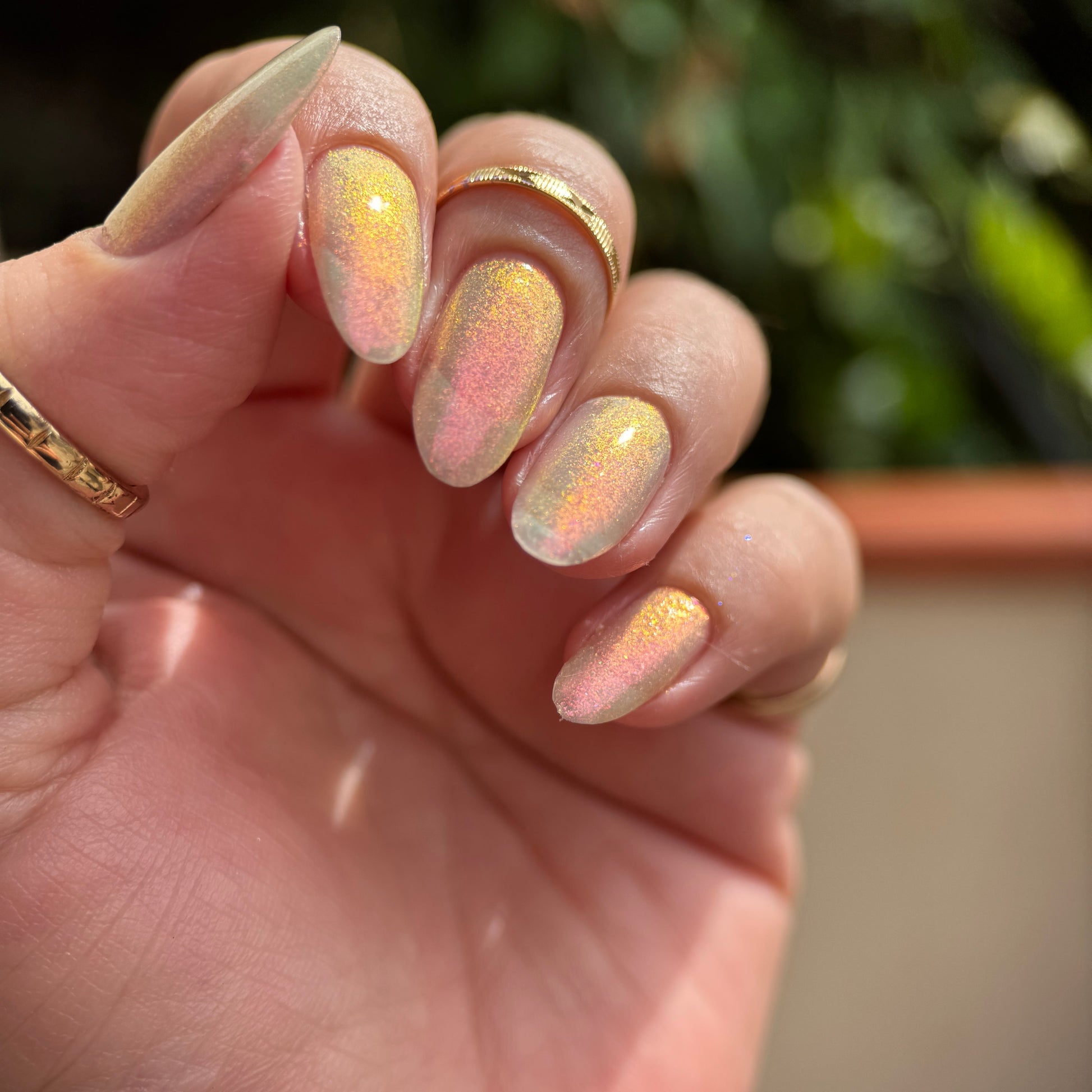 Phoenix Polish- Sr Dydimus I Love My Polish