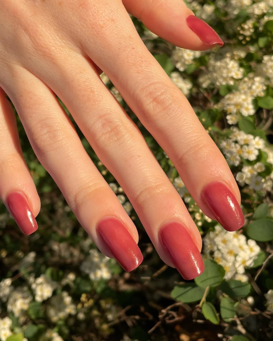 Cirque Colors- Marsala Jelly (mini) I Love My Polish