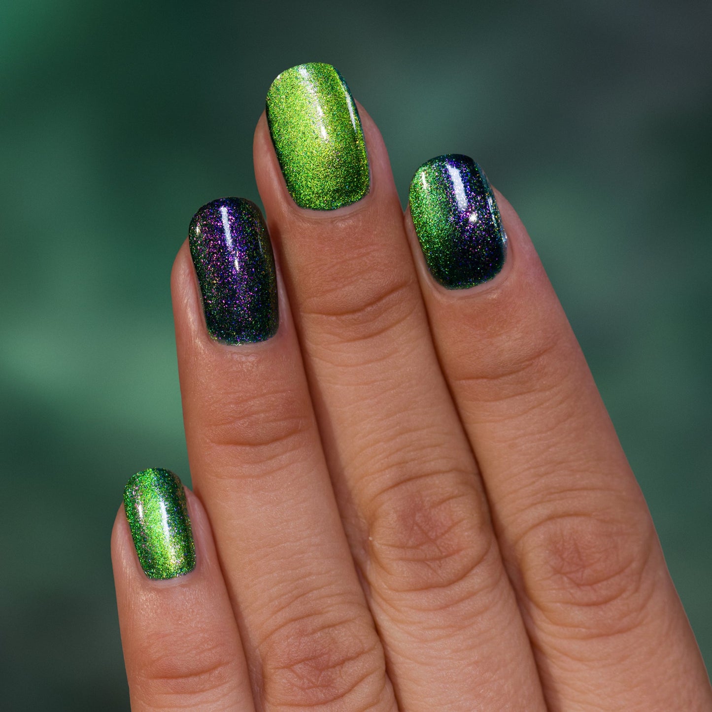 ILNP- Mad House I Love My Polish