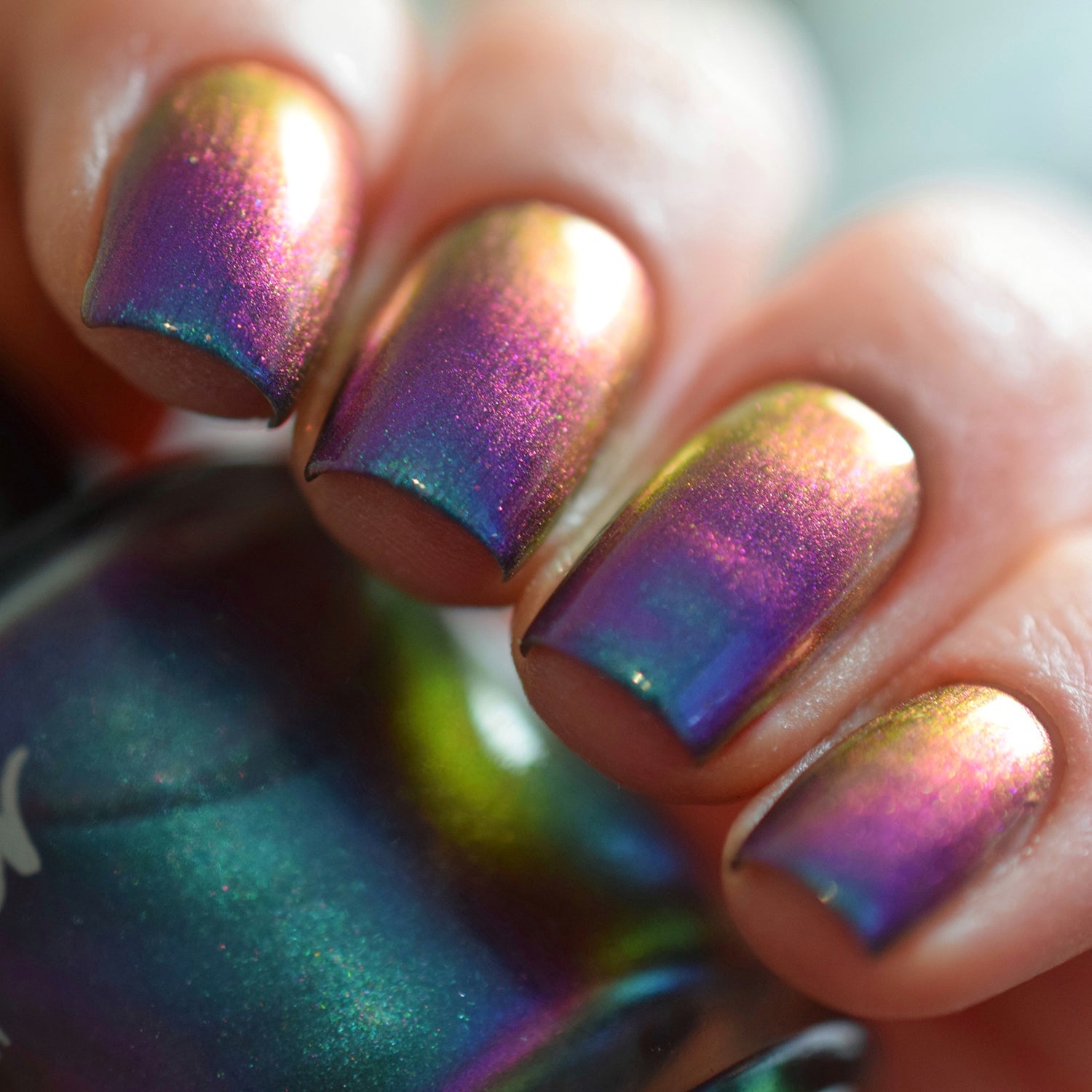 KBShimmer- No Illusions I Love My Polish