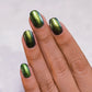 ILNP- Riminisce I Love My Polish