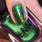 ILNP- Riminisce I Love My Polish