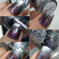 Grattol- King Henry I Love My Polish