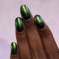 ILNP- Riminisce I Love My Polish