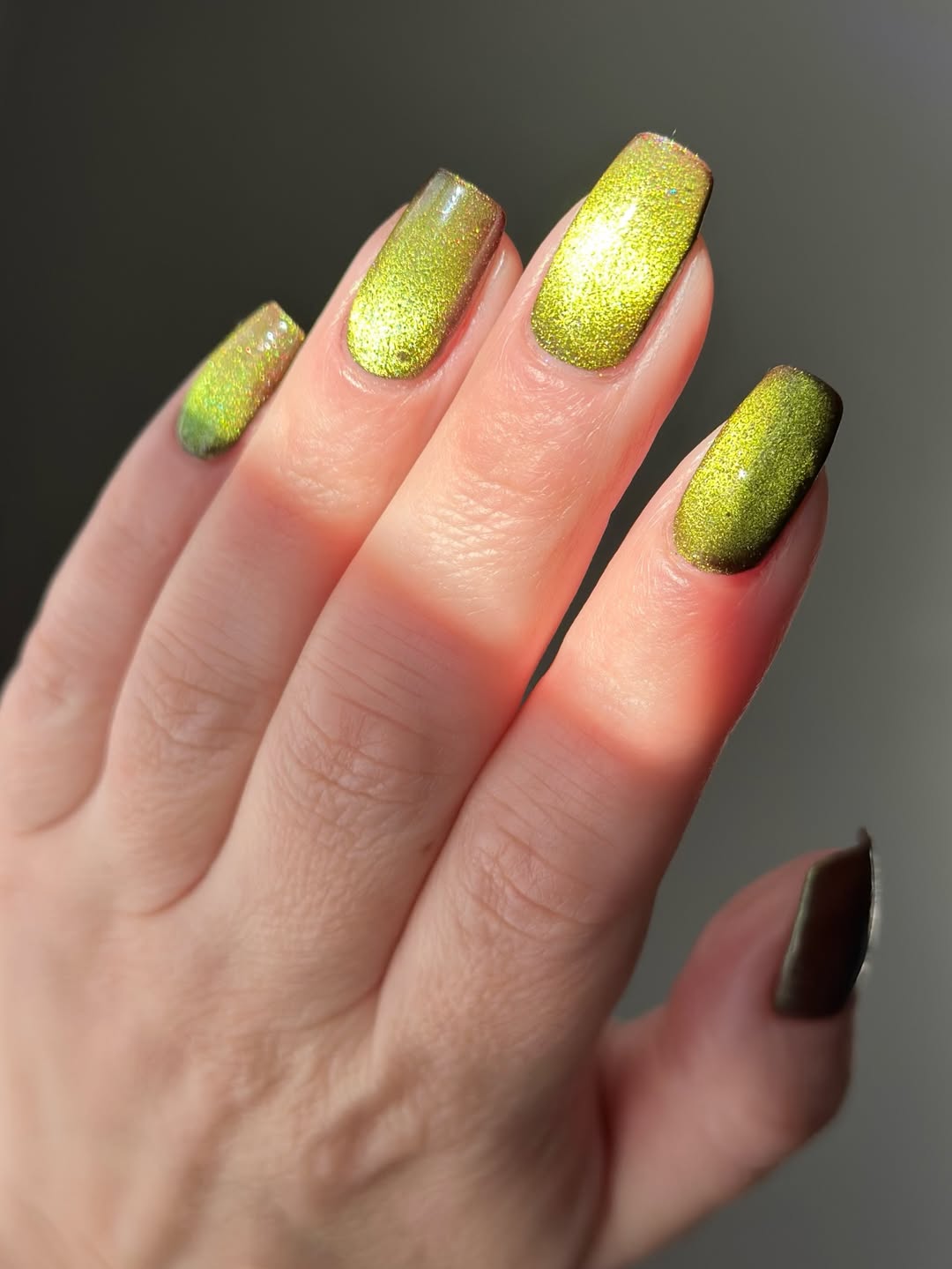 LynB Designs- Fruit and Cheese Mold I Love My Polish