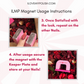 ILMP Horse-shoe Nail Magnet I Love My Polish