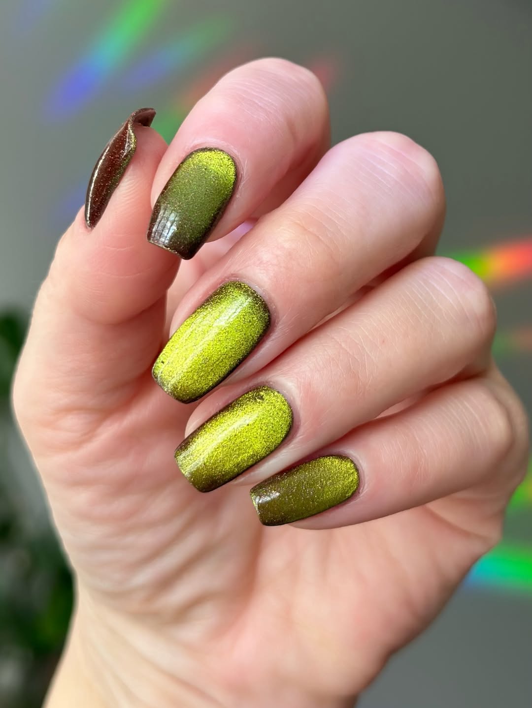 LynB Designs- Fruit and Cheese Mold I Love My Polish