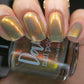 Dam- They See BB Rollin’ I Love My Polish